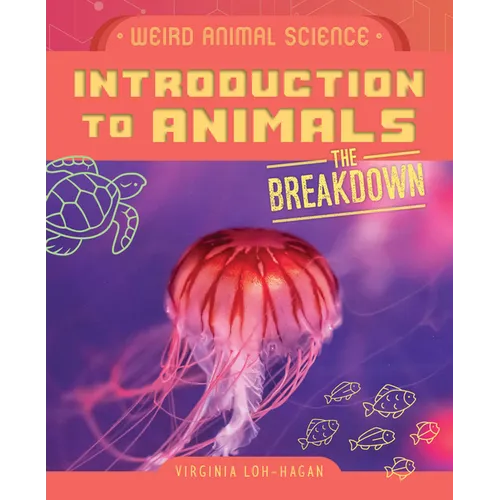 Introduction to Animals