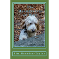 The Meanderings of Bing: A gentle, humorous look at life, snooker, whizzers and other great philosophical mysteries through the meanderings of Bing, a