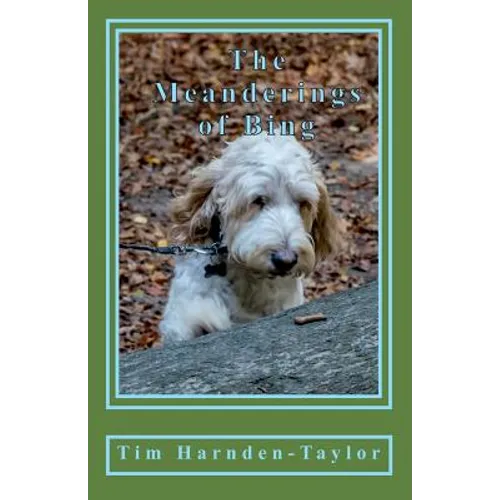 The Meanderings of Bing: A gentle, humorous look at life, snooker, whizzers and other great philosophical mysteries through the meanderings of Bing, a