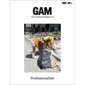 Professionalism