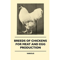 Breeds of Chickens for Meat and Egg Production