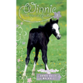 Friendly Foal