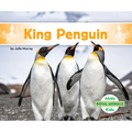 King Penguin