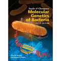 Snyder and Champness Molecular Genetics of Bacteria