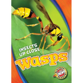 Wasps