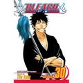 Bleach, Vol. 30