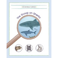 The Scoop on Sharks