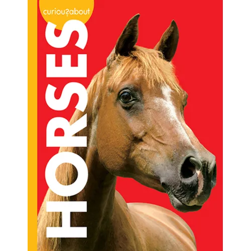 Curious about Horses