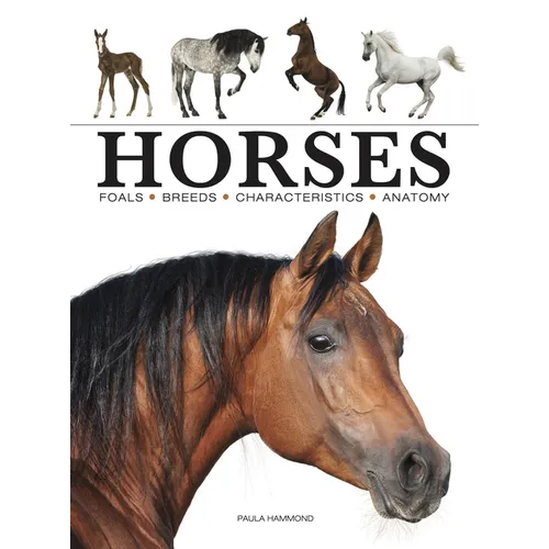 Horses