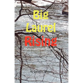 Big Laurel Rising: An Appalachian River Tale