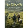 Lessons from the Cotswolds: Two Old Fogies Dodge Disasters while Walking Through the Cotswolds