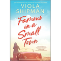 Famous in a Small Town: The Perfect Summer Read