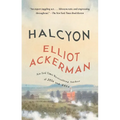 Halcyon