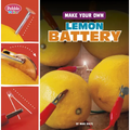 Make Your Own Lemon Battery