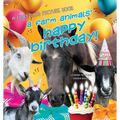 A Farm Animals' Happy Birthday: For the love of rescued animals.