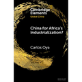 China for Africa's Industrialization?