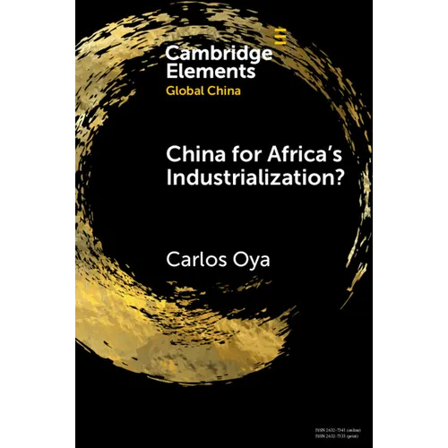 China for Africa's Industrialization?