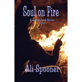 Soul on Fire: Cast Iron Farm series book 3