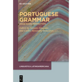 Portuguese Grammar: Usage-Based Perspectives