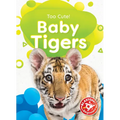 Baby Tigers