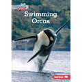Swimming Orcas