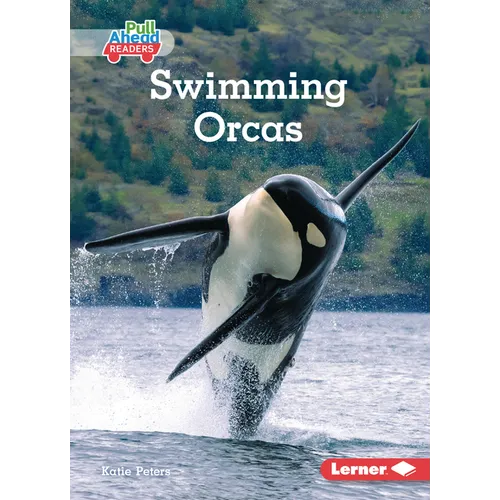 Swimming Orcas