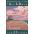 Angel Landing
