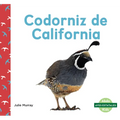 Codorniz de California (California Quails)