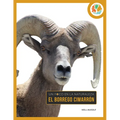 El Borrego Cimarrón