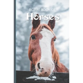 Picture Book Of Horses: Large Print Book For Seniors with Dementia or Alzheimer's