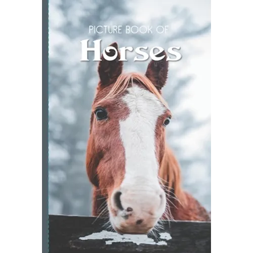 Picture Book Of Horses: Large Print Book For Seniors with Dementia or Alzheimer's