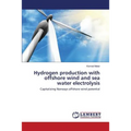 Hydrogen production with offshore wind and sea water electrolysis