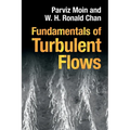 Fundamentals of Turbulent Flows