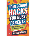 Homeschool Hacks for Busy Parents: STEM Projects That Take 15 Minutes a Day