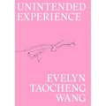 Evelyn Taocheng Wang: Unintended Experience: A Job in Amsterdam