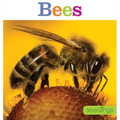 Seedlings: Bees