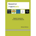 Negative Capacitance in Ferroelectric Materials
