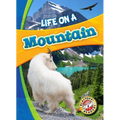 Life on a Mountain