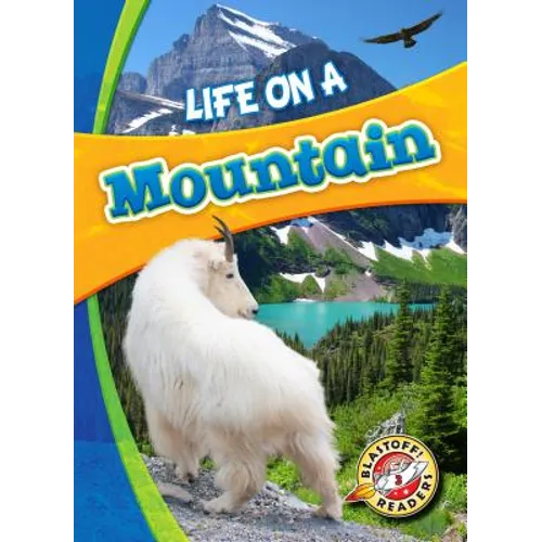 Life on a Mountain