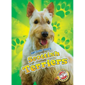 Scottish Terriers