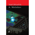Your Life as It Is