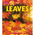 Leaves (Learn About: Fall)