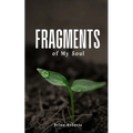 Fragments of My Soul