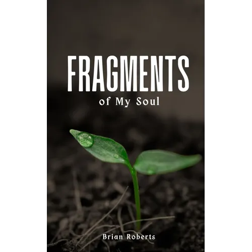 Fragments of My Soul