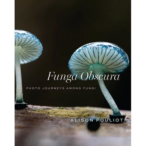 Funga Obscura: Photo Journeys Among Fungi
