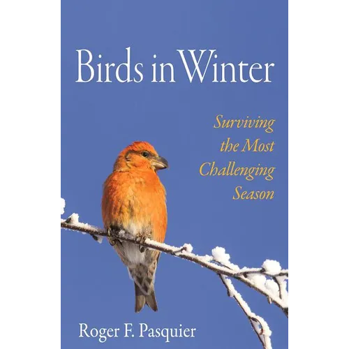Birds in Winter: Surviving the Most Challenging Season