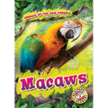 Macaws