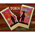 Torn: Kindertransport - a story of survival