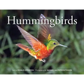 Hummingbirds