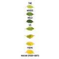 The Woods Hold Us